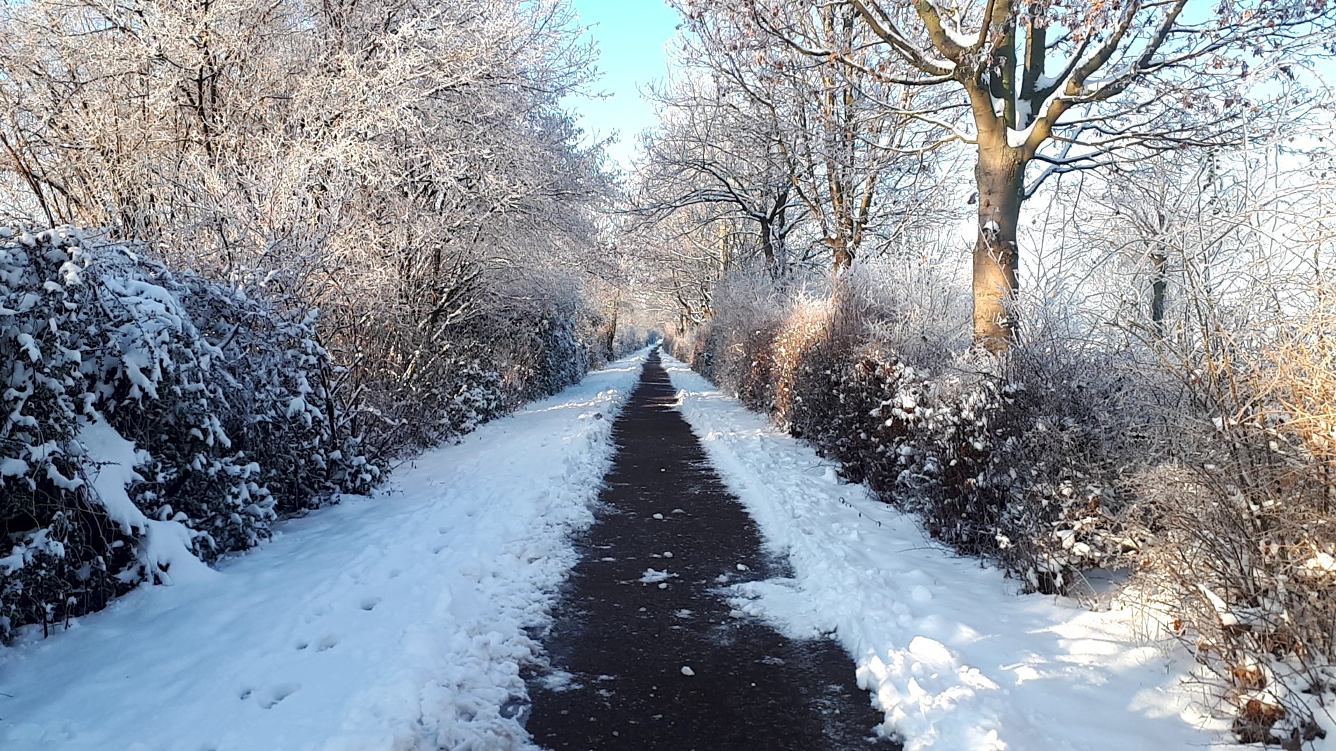 picture of a sidewalk full of snow